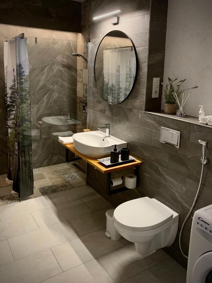 Blue Mountain Residence Брашов Екстериор снимка